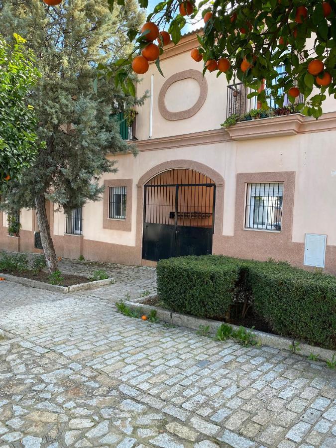 Sevilla. Gerena Casa Rural Para Familia O Profesionales Exterior photo